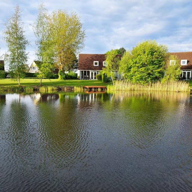 iQ Makelaars Vlagtwedde, De Vennen